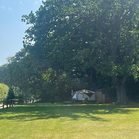 Old Dairy Farm Glamping Hotell Emsworth Exteriör bild