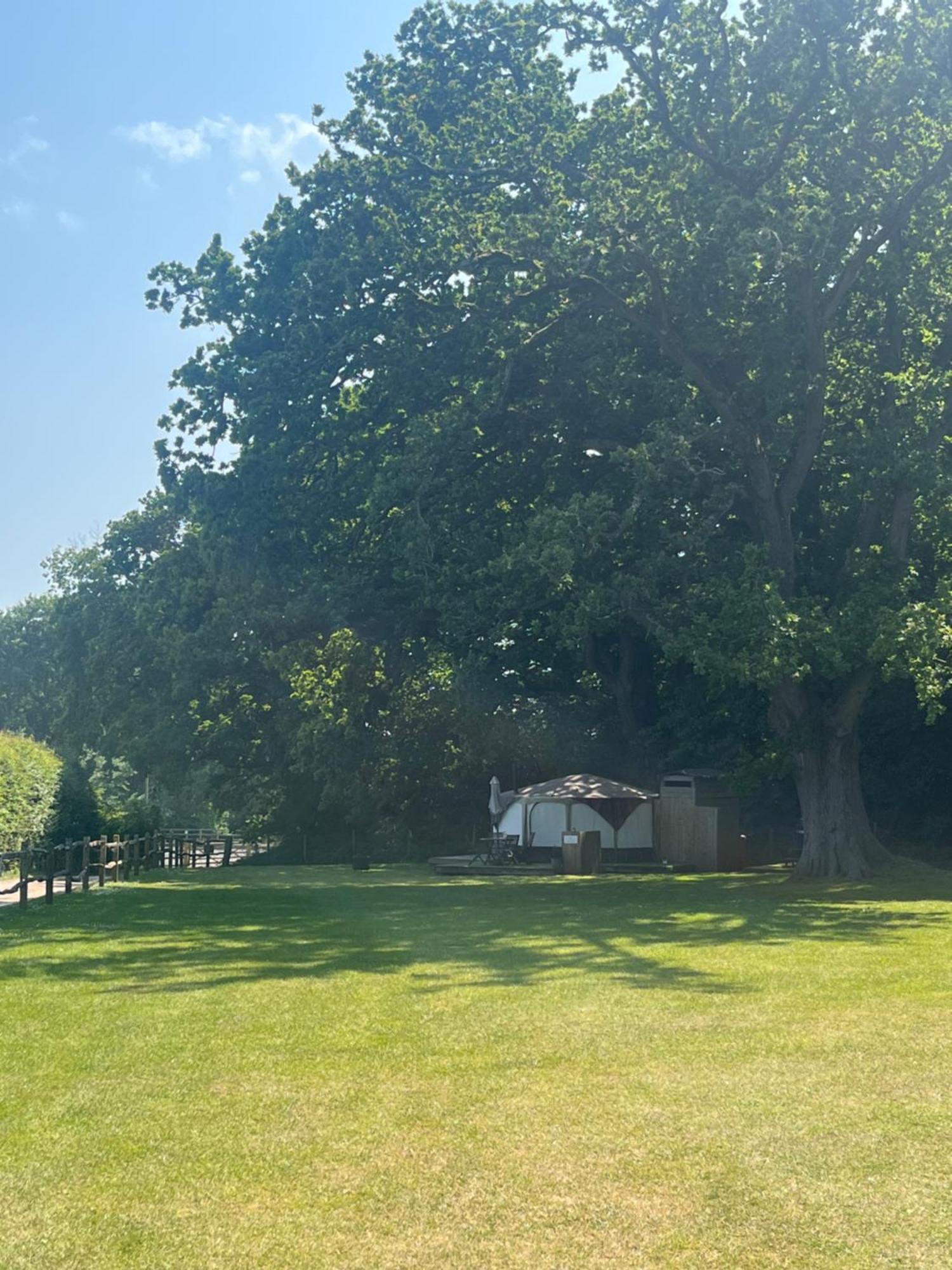 Old Dairy Farm Glamping Hotell Emsworth Exteriör bild